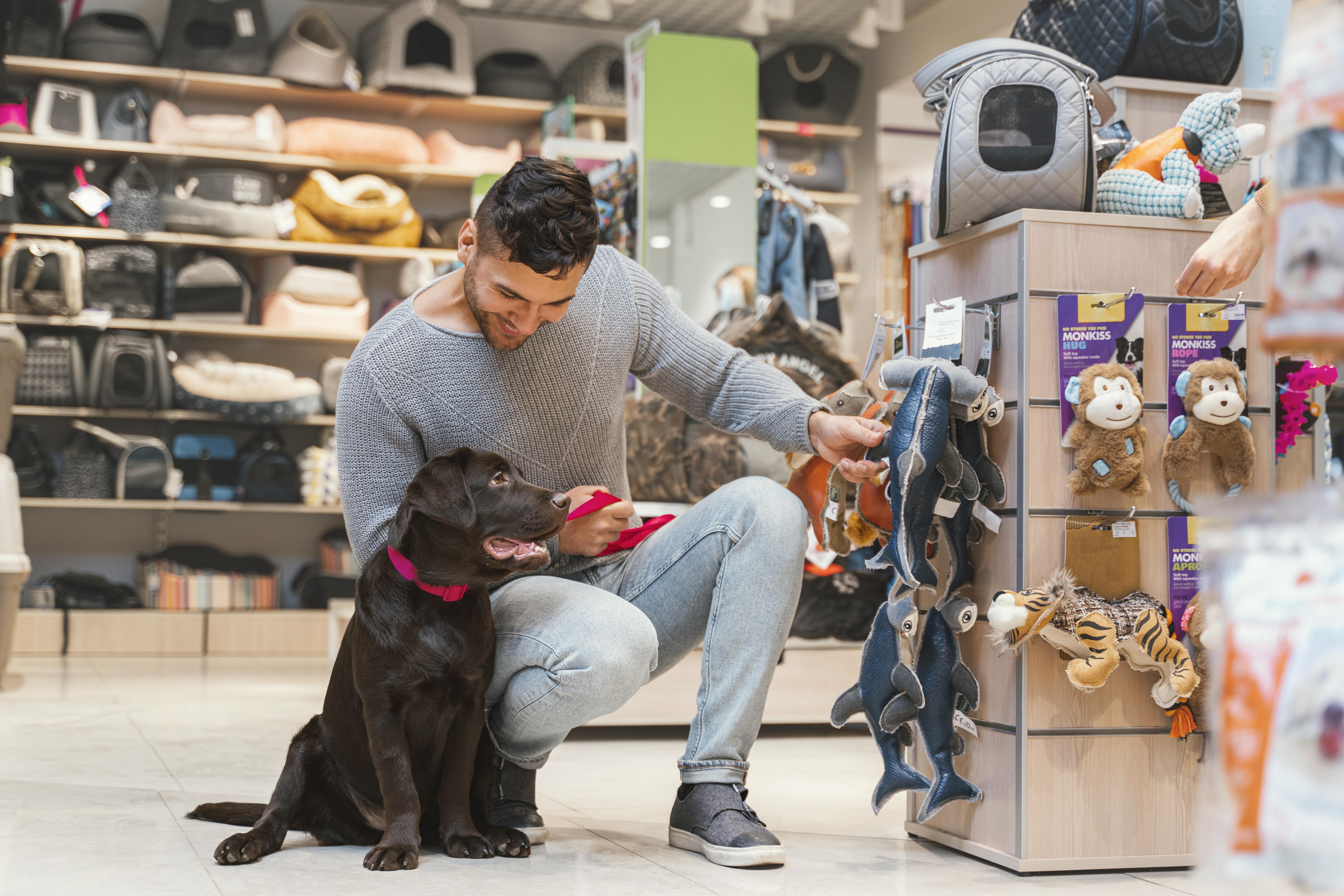 Top Stores for Pet Assistants to Shop Right Now at Save With Blogs